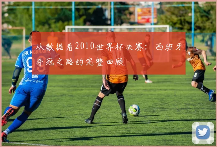 从数据看2010世界杯决赛：西班牙夺冠之路的完整回顾